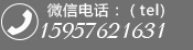 微信電話(huà)：（tel) 15957621631